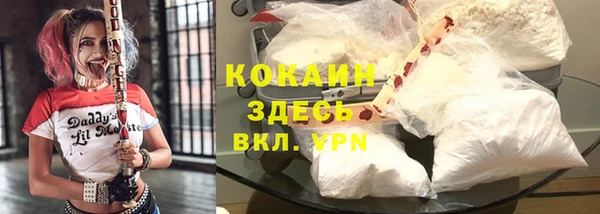 стаф Новозыбков