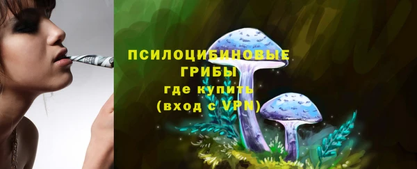 МДПВ Новодвинск