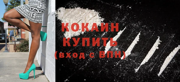 стаф Новозыбков