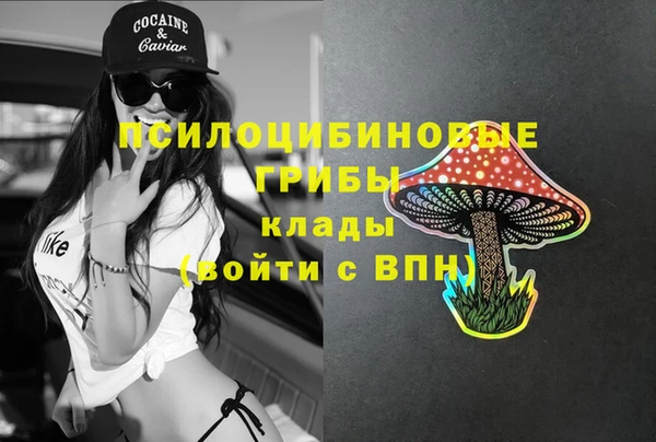 гашик Абаза