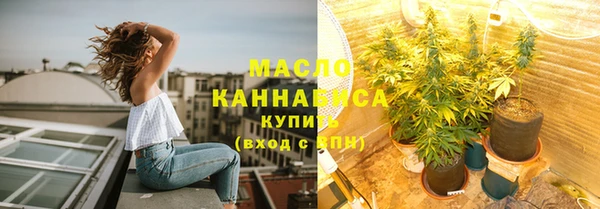 стаф Новозыбков