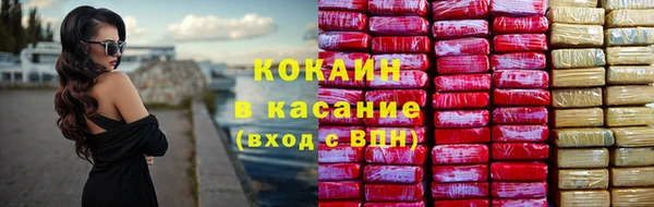 стаф Новозыбков