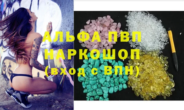 стаф Новозыбков